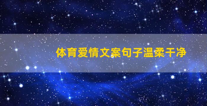 体育爱情文案句子温柔干净